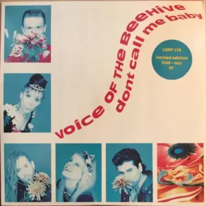 Voice Of The Beehive – Don't Call Me Baby