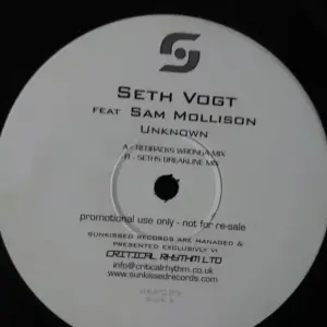 Seth Vogt feat Sam Mollison – The Unknown
