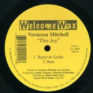 Vernessa Mitchell – This Joy