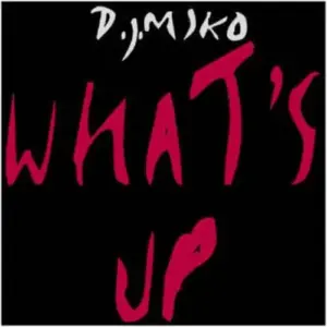 DJ Miko – What's Up