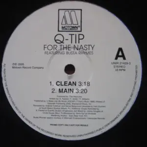 Q-Tip Featuring Busta Rhymes – For The Nasty