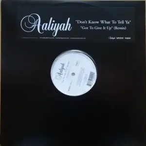 Aaliyah – Don't Know What To Tell Ya / Got To Give It Up (Remix)
