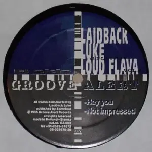 Laidback Luke – Loud Flava Vol. 2