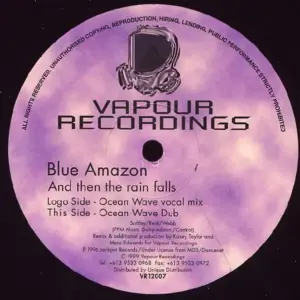 Blue Amazon – And Then The Rain Falls