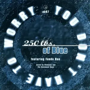 250 Lbs. Of Blue Featuring Fonda Rae – You Don't Have To Worry