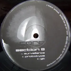 Section-8 (2) – Surveillance