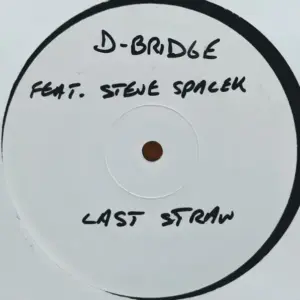Black Pocket / D-Bridge – Steve Spacek Presents Black Pocket Vol. One