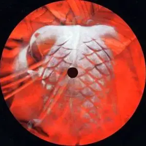 Teriko – Hystoric Trace