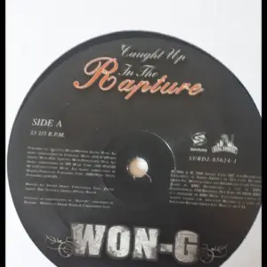 Won-G feat. Gizelle D'Cole – Caught Up In The Rapture