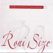 Roni Size – Sound Advice (E-Z Rollers Remix) / Forget Me Knots (DJ Bailey Remix) - Touching Down Remixes Part 2