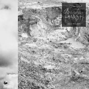 Bacchus Harsh – Caveat Tumultum