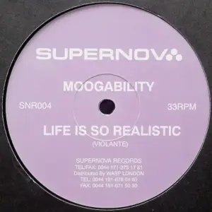 Moogability – Life Is So Realistic