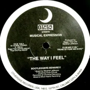 Musical Expression – The Way I Feel