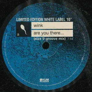 Josh Wink – Are You There...
