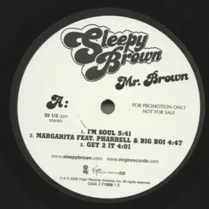 Sleepy Brown – Mr. Brown