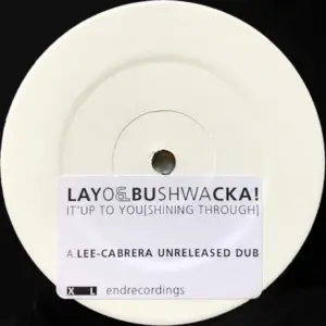 Layo & Bushwacka! – It's Up To You [Shining Through]