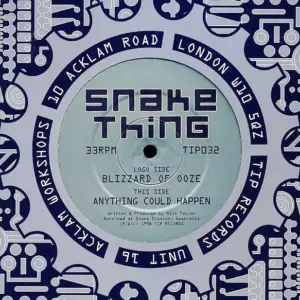 Snake Thing – Blizzard Of Ooze / Anything Could Happen