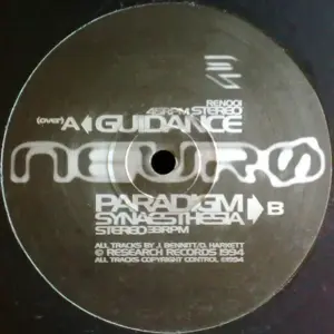 Neuro (2) – Guidance / Paradigm / Synaesthesia