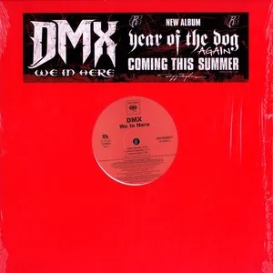DMX – We In Here
