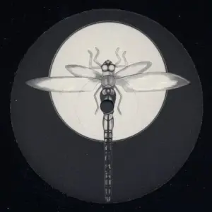 Various – Warp Experience Sampler