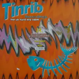 Captain & Steve Thomas, The – The Leader / Snap