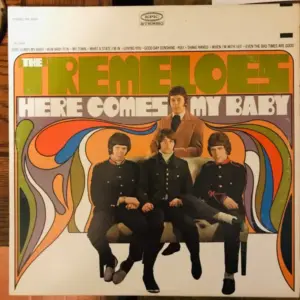 Tremeloes, The – Here Comes My Baby