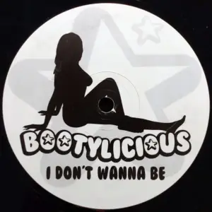 Bootylicious (2) – I Don't Wanna Be / Mary Joint (DnB Remixes)