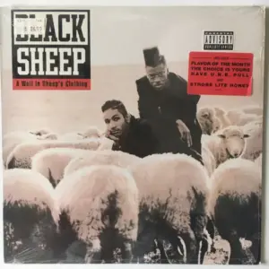 Black Sheep – A Wolf In Sheep's Clothing