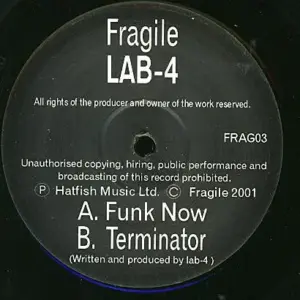 Lab 4 – Funk Now / Terminator