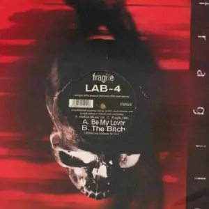 Lab 4 – Be My Lover / The Bitch