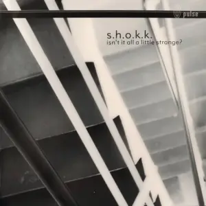 S.H.O.K.K. – Isn't It All A Little Strange?