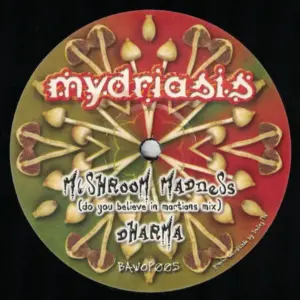 Mydriasis – Mushroom Madness