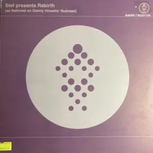 Stef Vrolijk – Rebirth