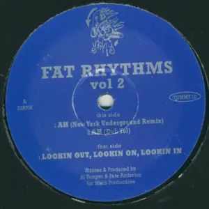 Al Temper & Pete Anderton – Fat Rhythms Vol 2