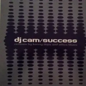 DJ Cam – Success