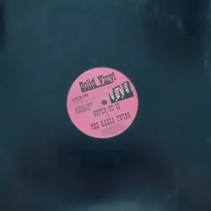 T.C. Izlam & Ragga Twins, The – Shut Em Down / Hipstep Bwoy Instramentle