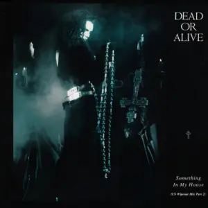 Dead Or Alive – Something In My House (US Wipeout Mix Part 2)