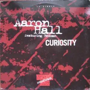 Aaron Hall – Curiosity