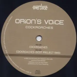 Orion's Voice – Cockroaches
