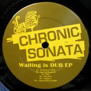 Chronic Sonata – Waiting Is Dub EP