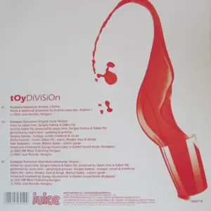 Toy Division – Budapest Resonance