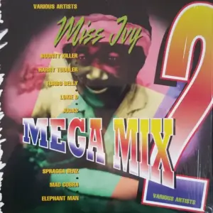 Various – Miss Ivy Mega Mix 2