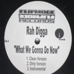 Rah Digga – What We Gonna Do Now
