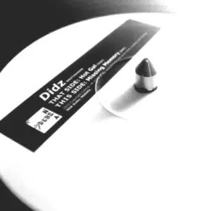 Didz – Missing Memory / Hot Gal