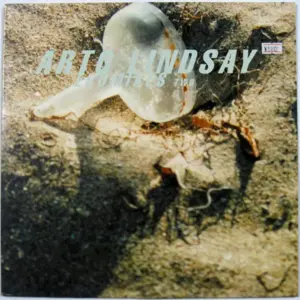 Arto Lindsay – Ecomixes Two