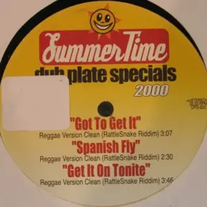 Various – Dub Plate Specials 2000