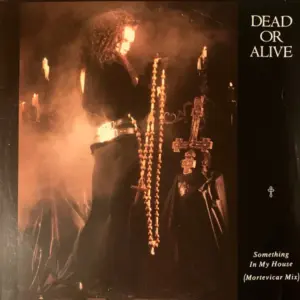 Dead Or Alive – Something In My House (Mortevicar Mix)