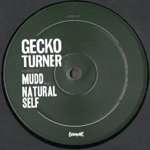 Gecko Turner – You Can't Own Me / When I Woke Up