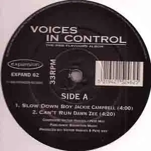 Voices In Control – The R&B Flavours Album
