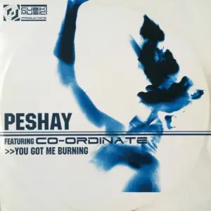 Peshay Featuring Co-Ordinate – You Got Me Burning / Fuzion